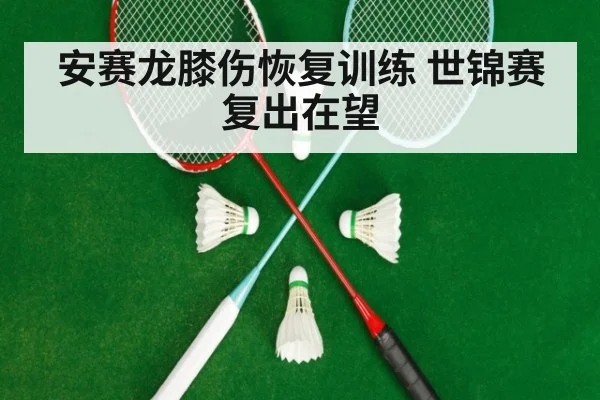 安赛龙膝伤恢复训练 世锦赛复出在望