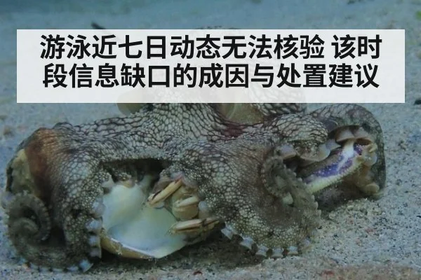 游泳近七日动态无法核验 该时段信息缺口的成因与处置建议
